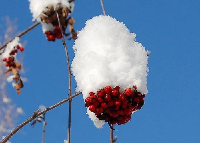 Artur Wieser Sankt Jakob in Defereggen