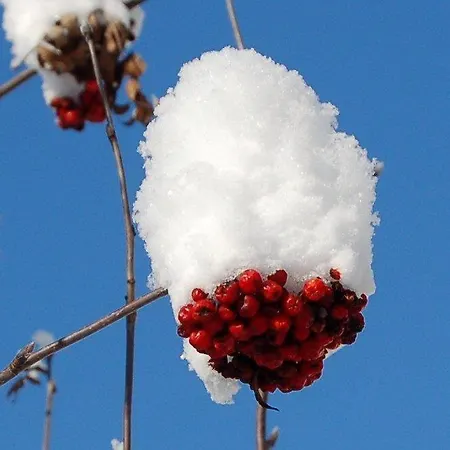 Artur Wieser St. Jakob in Defereggen